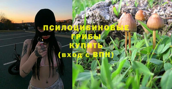 мдма Белокуриха