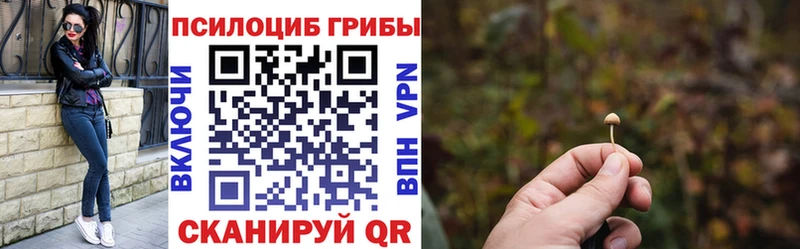 Купить закладки  Железногорск  Псилоцибиновые грибы Magic Shrooms 